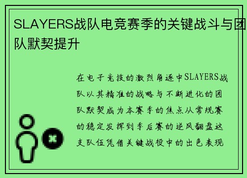 SLAYERS战队电竞赛季的关键战斗与团队默契提升